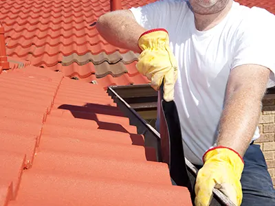 Gutter Cleaning Services, Williamstown, NJ